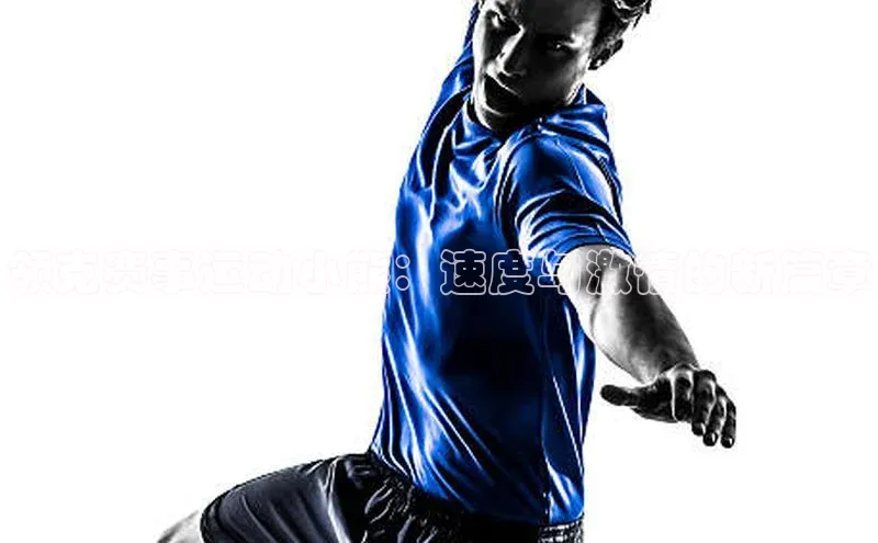 领克赛事运动小熊：速度与激情的新篇章