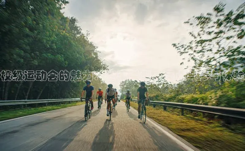 校级运动会的魅力：赛事类型、亮点与参与体验