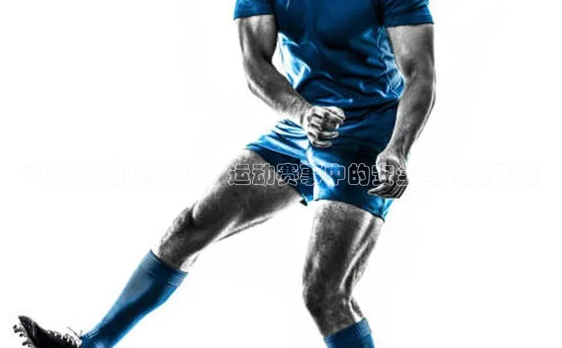 焦点娱乐代理平台