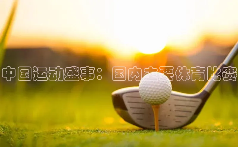 中国运动盛事：国内主要体育比赛
