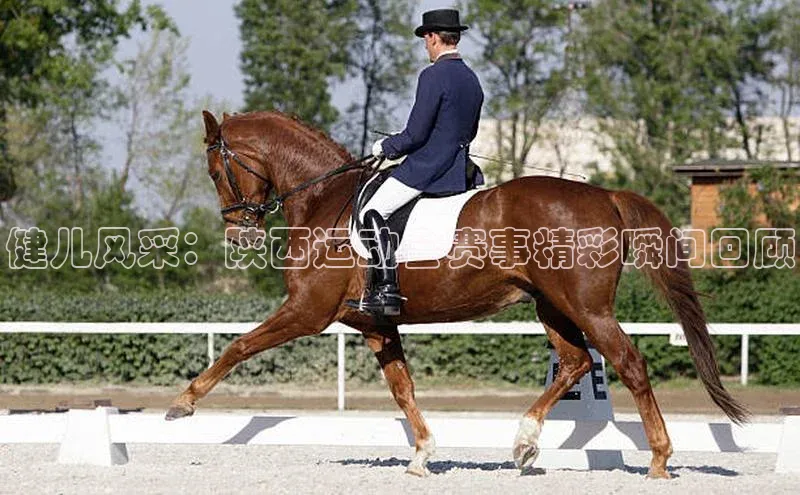 健儿风采：陕西运动会赛事精彩瞬间回顾