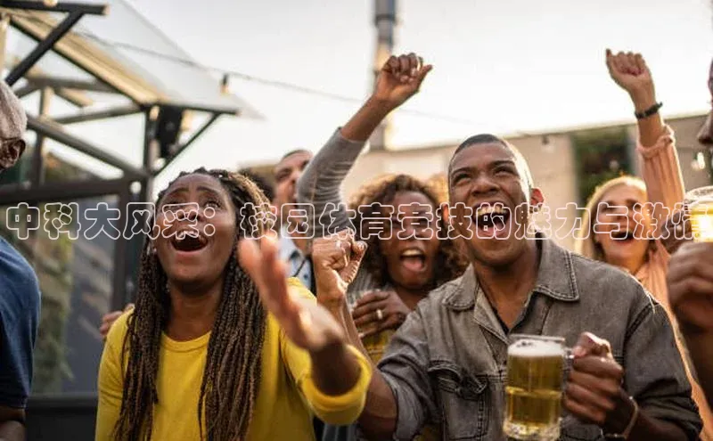 焦点登录地址入口