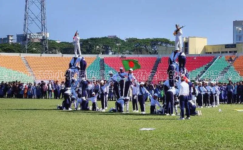 活力四射的小学运动盛会：一场全面的体育交流盛宴