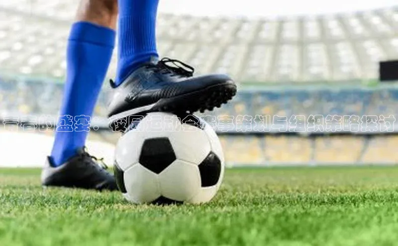 青春的盛宴：校园运动会赛事策划与组织策略探讨