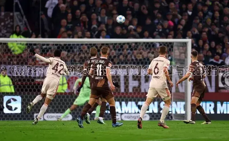 ：根据不同运动赛事的级别划分标准与实践指南